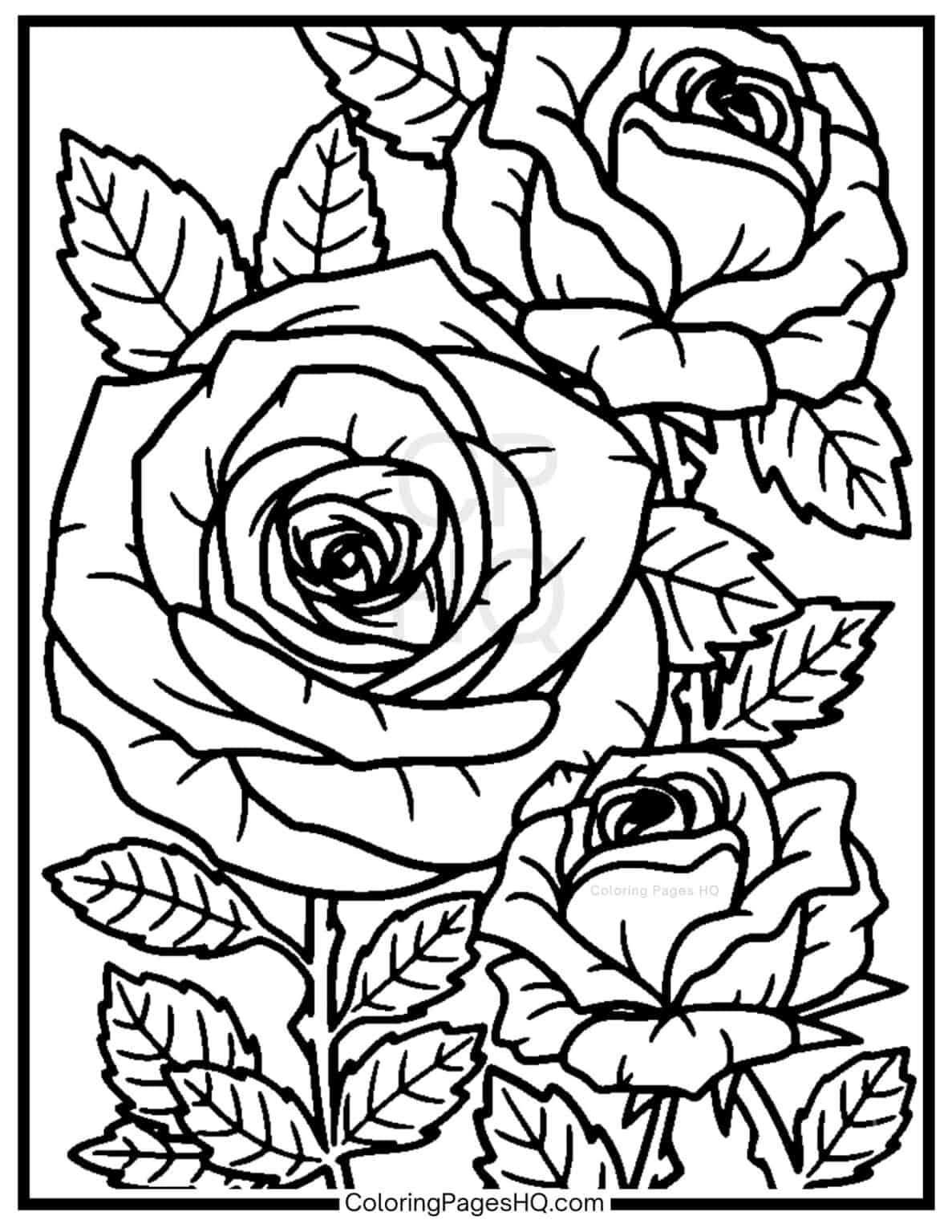 Rose Bush Coloring Pages (Free PDF Printables) Coloring Pages HQ