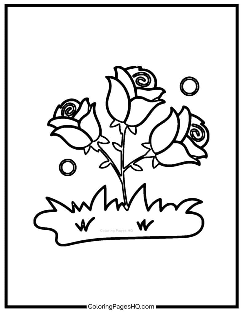 Three roses on a rose bush coloring sheet