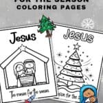 Jesus is the reason pinterest image