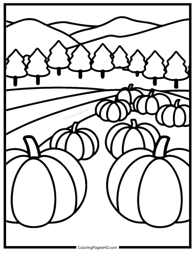 Thanksgiving harvest pumpkins in a field coloring page
